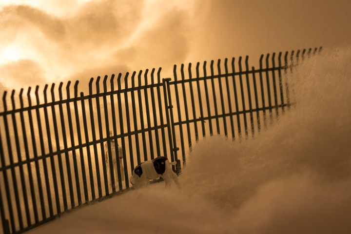 PEARLY GATES