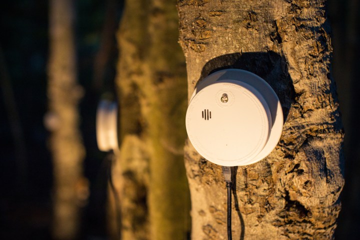 Detectors_AITO2016_004