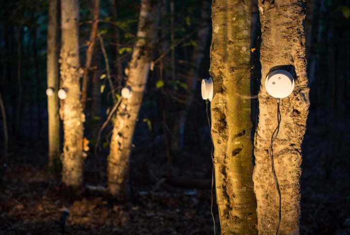 Detectors_AITO2016_006