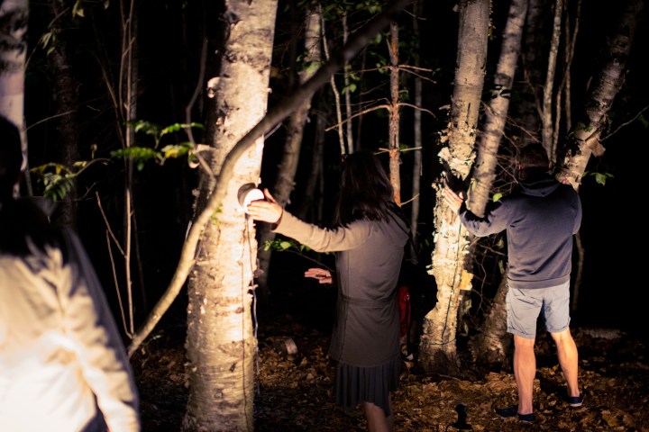 Detectors_AITO2016_008